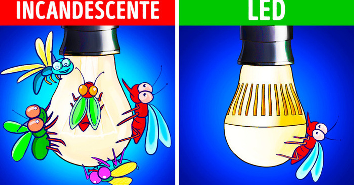 Livre-se destas 8 coisas para acabar com os insetos da sua casa hoje mesmo!