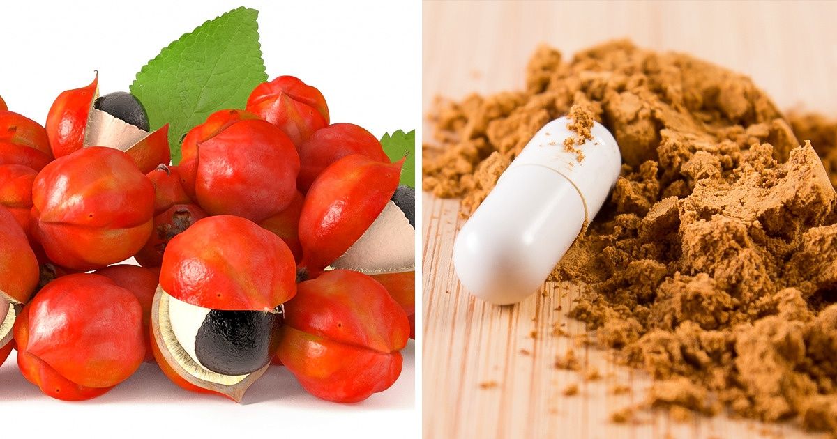 6+ Benefícios do pó de guaraná que podem turbinar sua saúde 6+ Benefícios do pó de guaraná que podem turbinar sua saúde