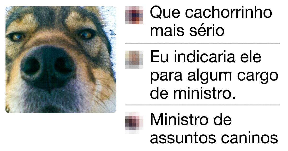 20+ Comentários super sinceros da Internet que te farão rir