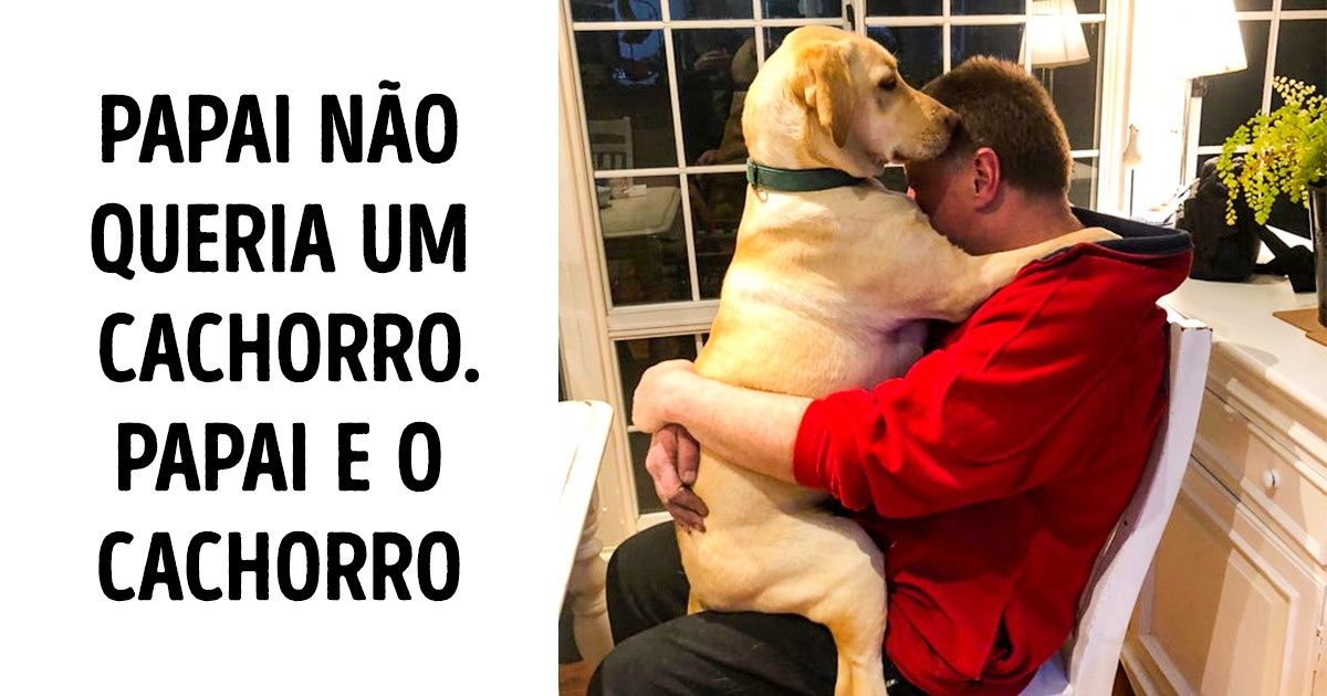 20 Pessoas que não queriam “esses bichos” em casa e agora não passam um dia sem eles 20 Pessoas que não queriam “esses bichos” em casa e agora não passam um dia sem eles