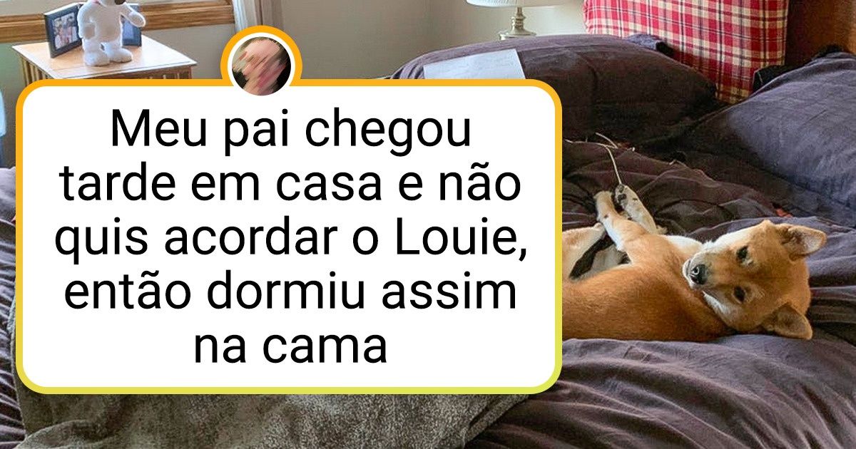 15+ Internautas que eram categoricamente contra adotar um animal de estimação, mas hoje não conseguem viver sem ele