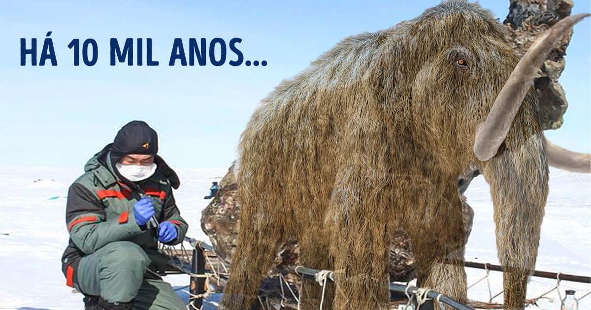 9 Objetos que estiveram perdidos sob o gelo e que surpreenderam os cientistas