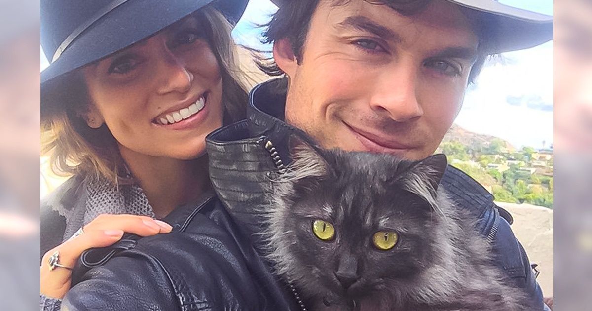 10 Celebridades de bom coração que adotaram animais de estimação 10 Celebridades de bom coração que adotaram animais de estimação
