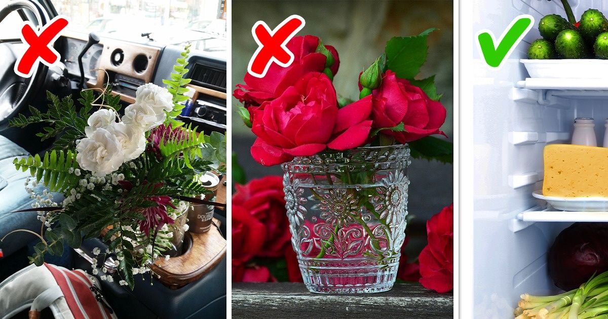 10 Dicas que podem te ajudar a manter as flores lindas por mais tempo 10 Dicas que podem te ajudar a manter as flores lindas por mais tempo
