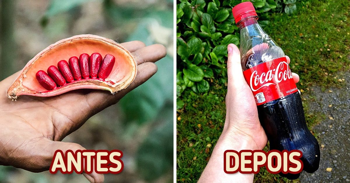 Como são 10 produtos populares antes de chegar às prateleiras Como são 10 produtos populares antes de chegar às prateleiras
