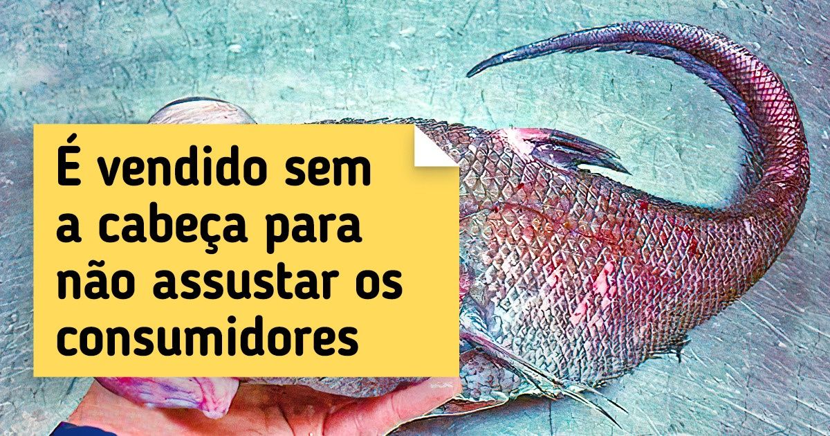 20+ Animais tão inusitados que parecem ter saído de um filme de ficção científica