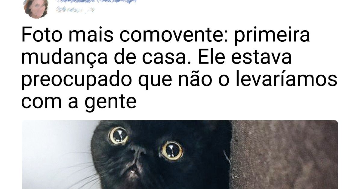 20+ Amigos peludos que irão partir seu coração como o primeiro amor