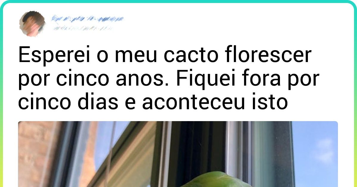 20+ Provas de que o mundo guarda coisas admiráveis onde menos esperamos 20+ Provas de que o mundo guarda coisas admiráveis onde menos esperamos