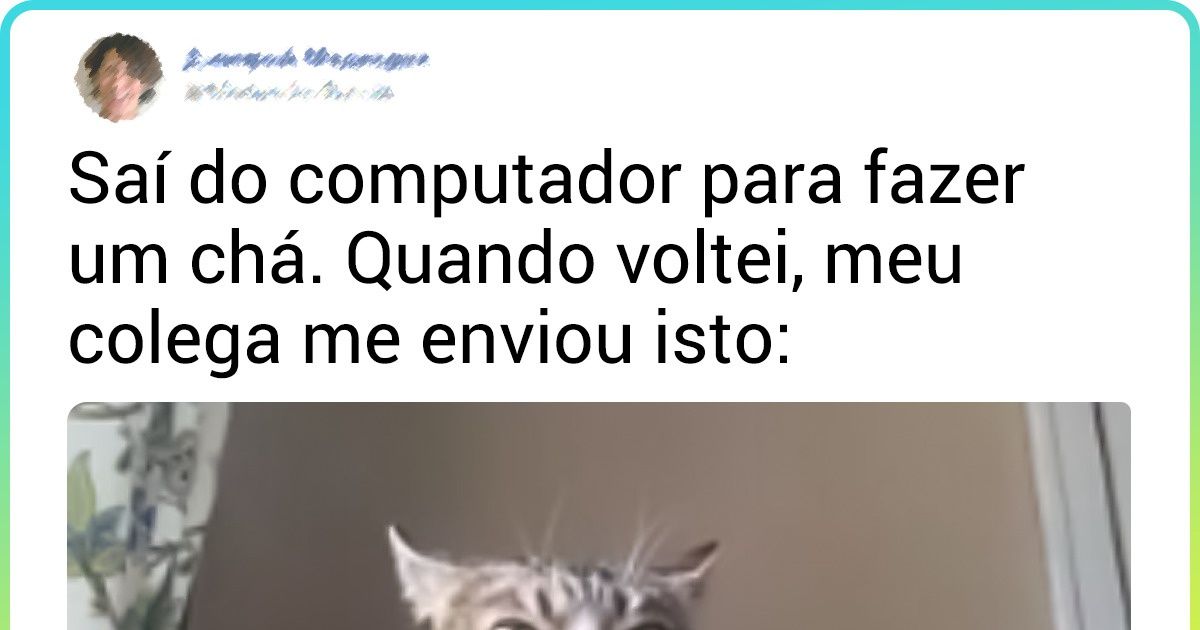 20+ Pets que não ligam para como um bom garoto deve se comportar 20+ Pets que não ligam para como um bom garoto deve se comportar