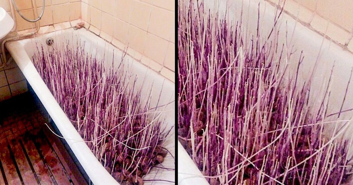 26 Fotos que fazem mais sentido do que parecem