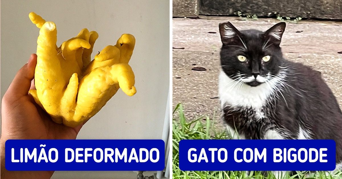 19 Fotos mostrando que o “incomum” anda por aí, esperando para ser encontrado 19 Fotos mostrando que o “incomum” anda por aí, esperando para ser encontrado