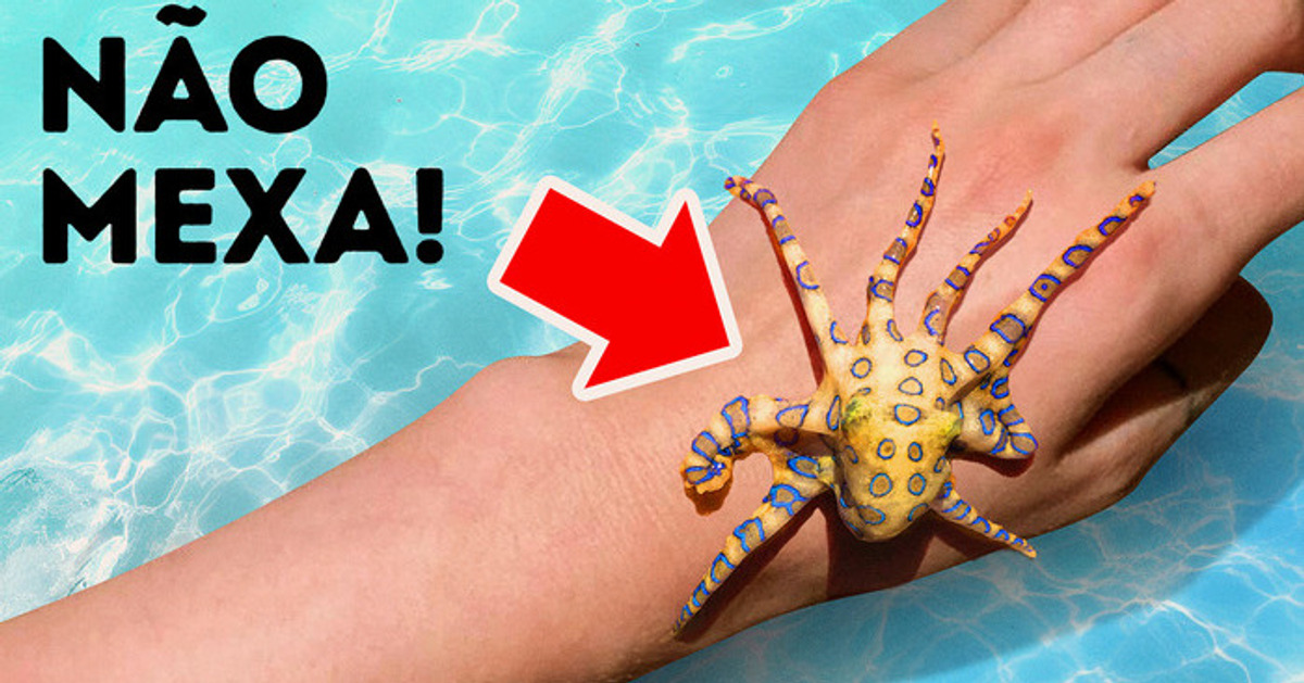 Se Encontrar Este Lindo Polvo, Nunca Toque Nele