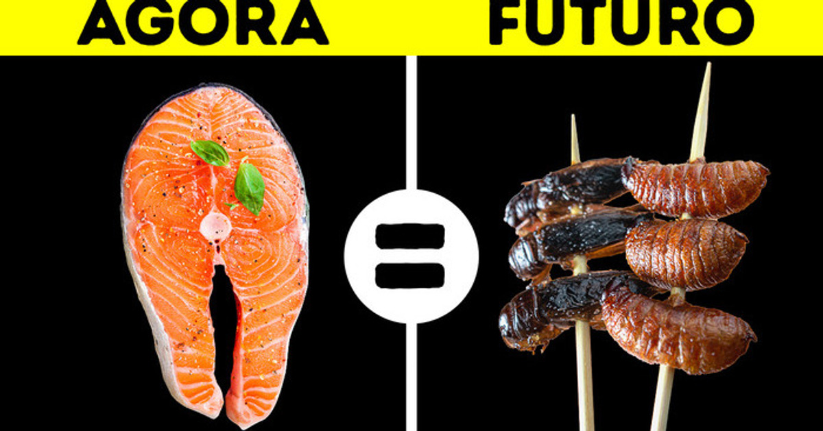 Prepare-se para comer insetos || o futuro da agricultura Prepare-se para comer insetos || o futuro da agricultura
