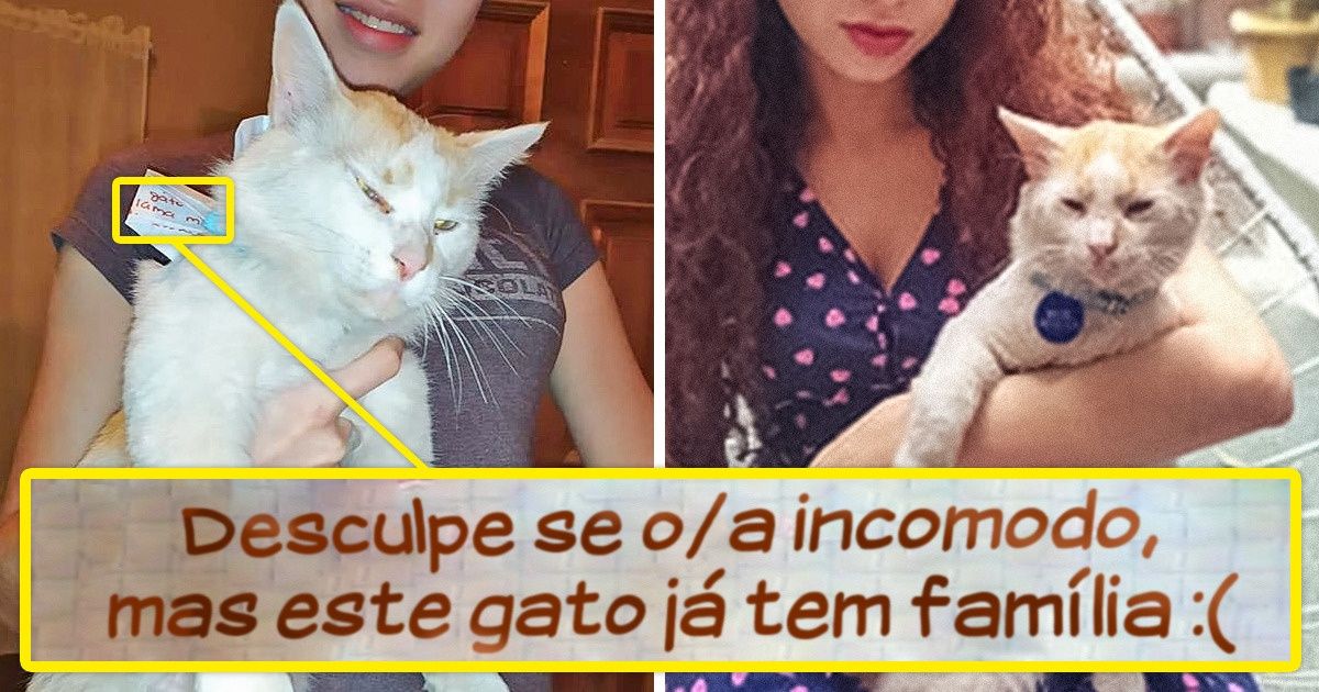 Outro gato “infiel”. Uma jovem descobriu que seu gato tem dois lares e nos contou os detalhes da história Outro gato “infiel”. Uma jovem descobriu que seu gato tem dois lares e nos contou os detalhes da história