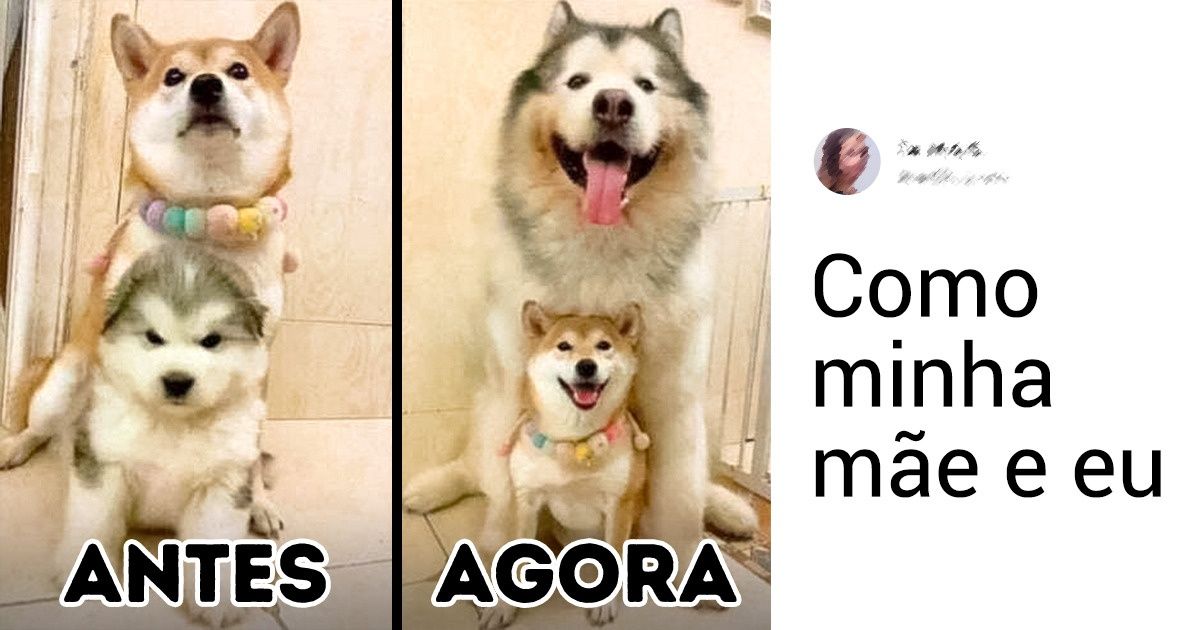 20 Fotos que mostram como o tempo muda tudo, menos o amor verdadeiro