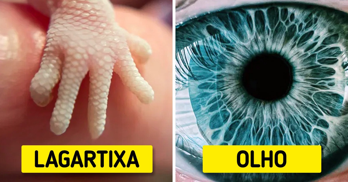 20+ Fotos reveladoras que mostram o mundo sob outra perspectiva