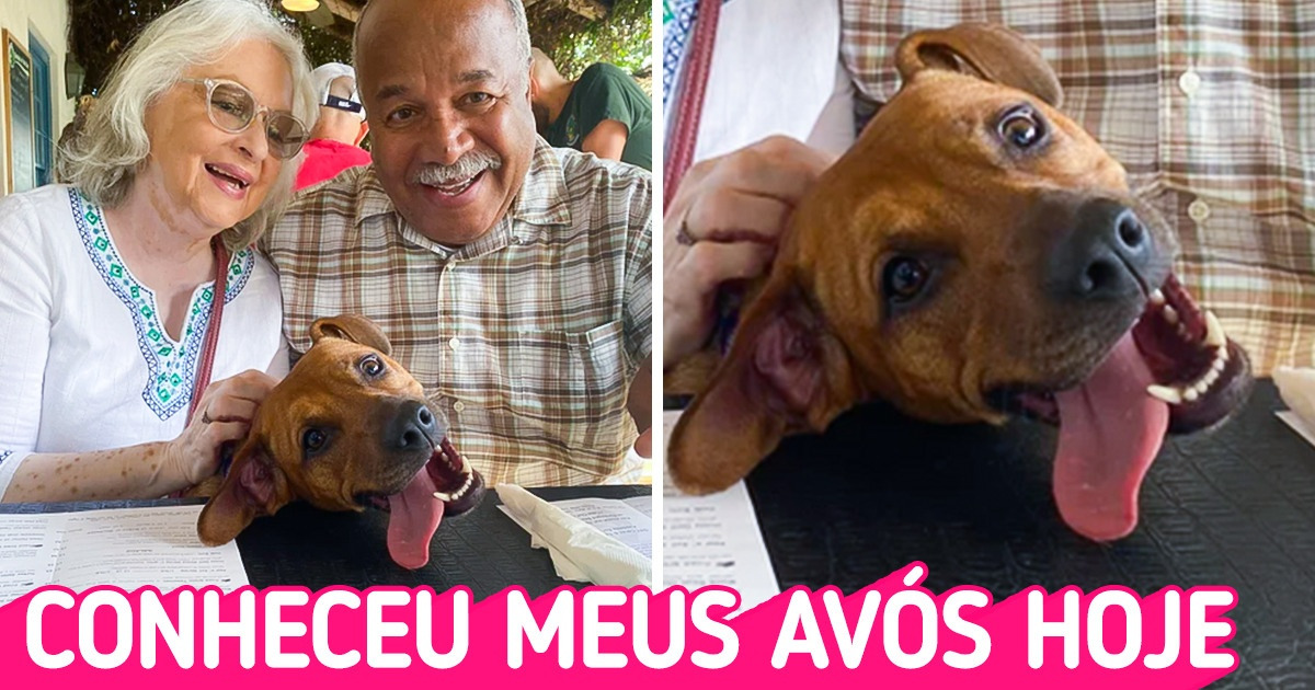 18 Animais que são como um abraço de mãe em pleno inverno