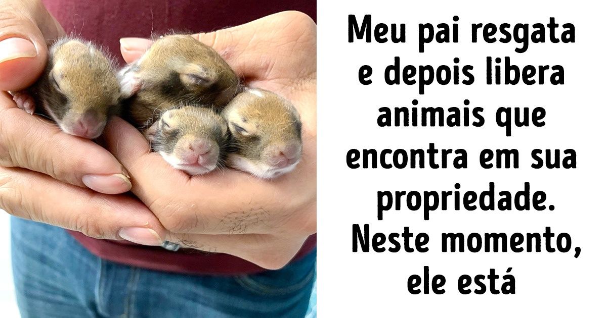 15 Internautas compartilharam fotos de momentos capazes de arrancar sorrisos mesmo na dificuldade