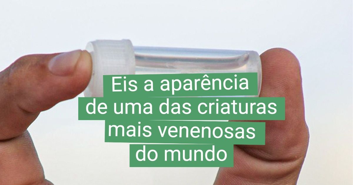 20+ Fotos capazes de mostrar o verdadeiro tamanho das coisas através de comparações simples