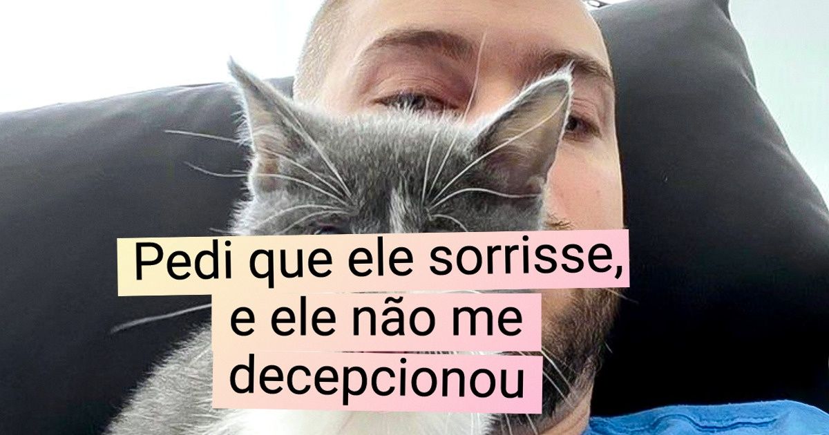 15+ Gatinhos que são mestres na arte de fazer caretas bizarras