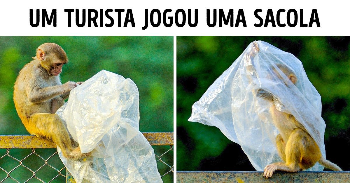 16 Imagens impressionantes que mostram até onde chegamos na destruição da Terra 16 Imagens impressionantes que mostram até onde chegamos na destruição da Terra