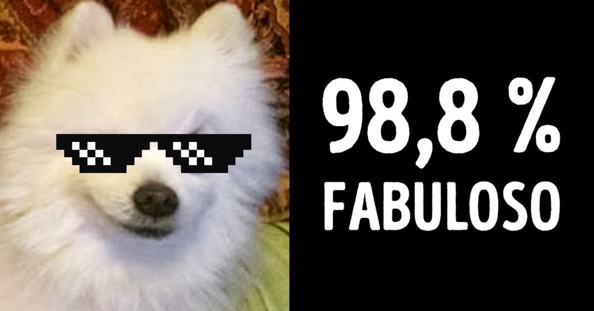 O site que mostra o quão fabulosas são as suas fotos