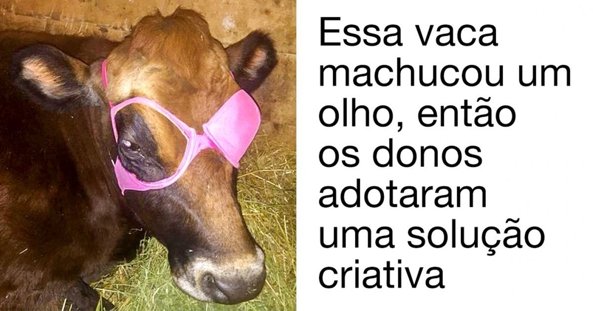 22 Fotos que provam que a criatividade humana não tem limites