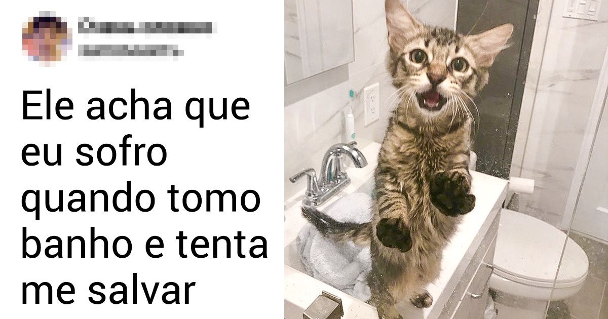17 Animais de estimação que não deixam seus donos sozinhos nem por um segundo 17 Animais de estimação que não deixam seus donos sozinhos nem por um segundo