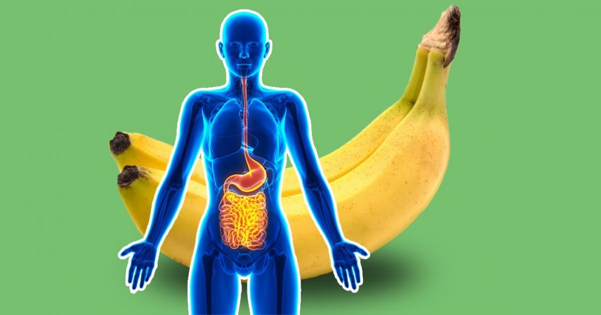 O que acontece com nosso corpo se comermos 2 bananas por dia?