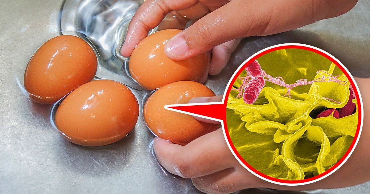 Por que não devemos lavar os ovos