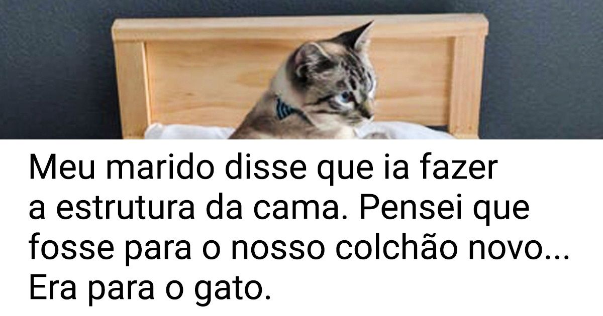 18 Animais dengosos que esbanjam estilo, conforto e mordomias