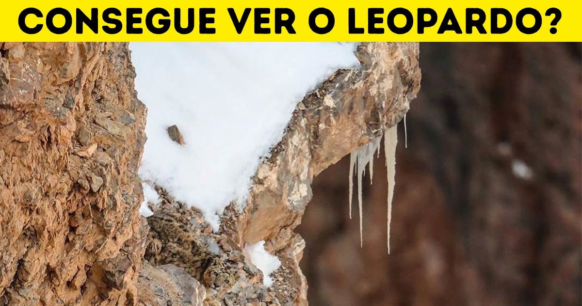 18 Fotos que você precisa olhar mais de uma vez para achar todos os detalhes 18 Fotos que você precisa olhar mais de uma vez para achar todos os detalhes