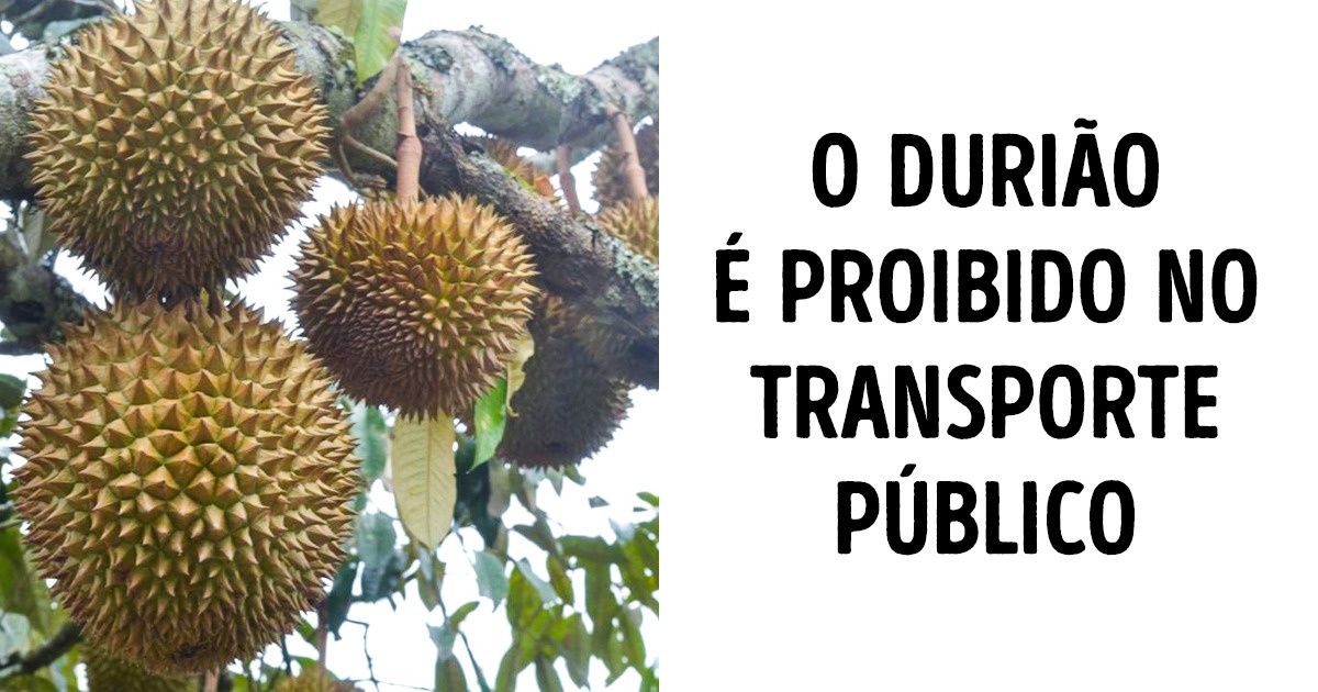 As peculiaridades destas 9 frutas nos fazem perguntar se elas são mesmo deste Planeta As peculiaridades destas 9 frutas nos fazem perguntar se elas são mesmo deste Planeta