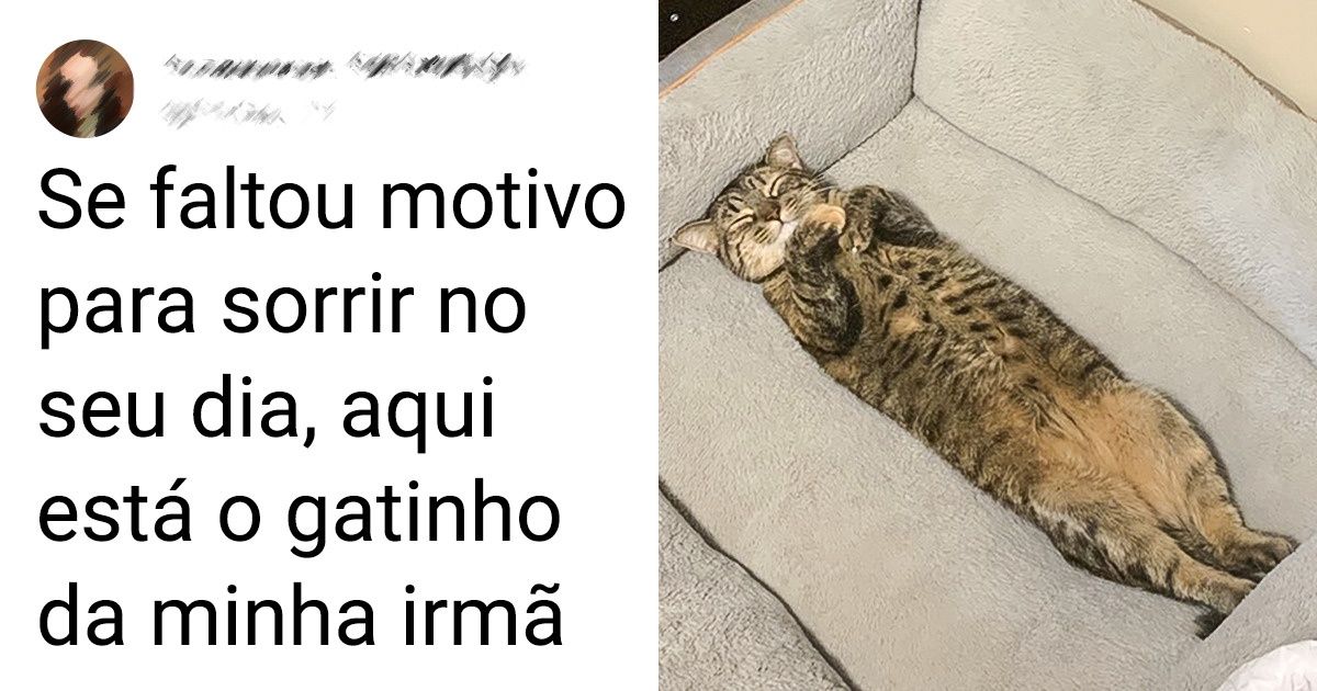 16 Animais de estimação cujo encanto especial deixa qualquer um completamente apaixonado 16 Animais de estimação cujo encanto especial deixa qualquer um completamente apaixonado