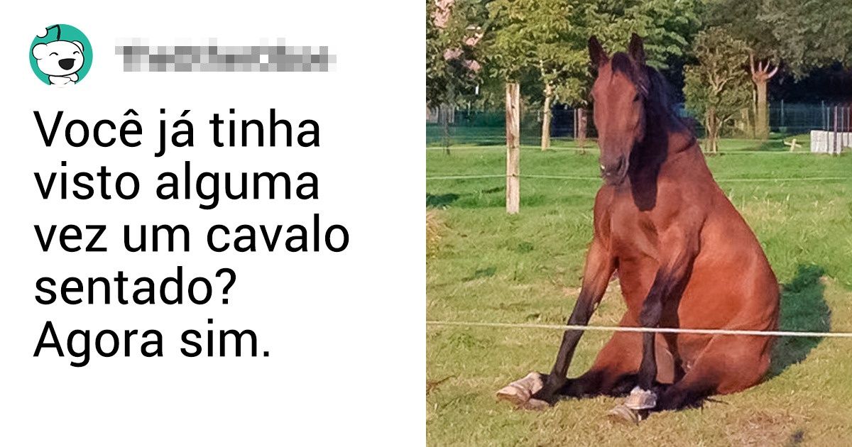 15+ Cavalos que sabem muito bem como explorar a sua beleza em frente às câmeras