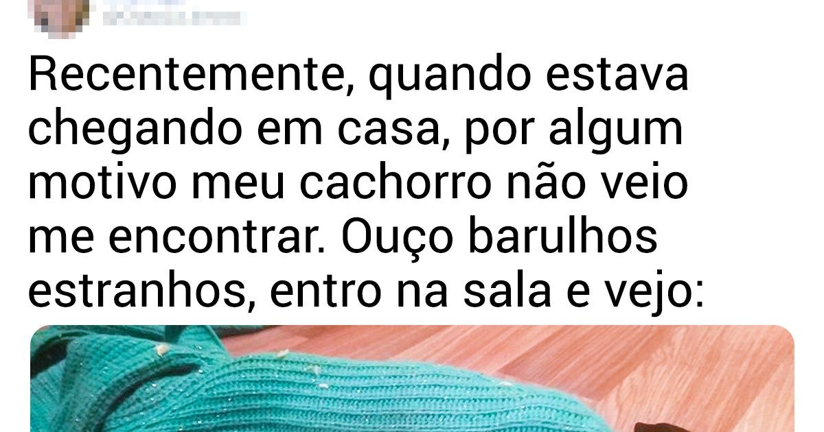 18 Cachorrinhos que vão de bons meninos a “caras maus” em questão de segundos