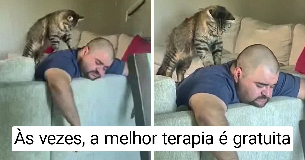 18 Interações entre humanos e seus pets que aumentarão sua dose diária de serotonina