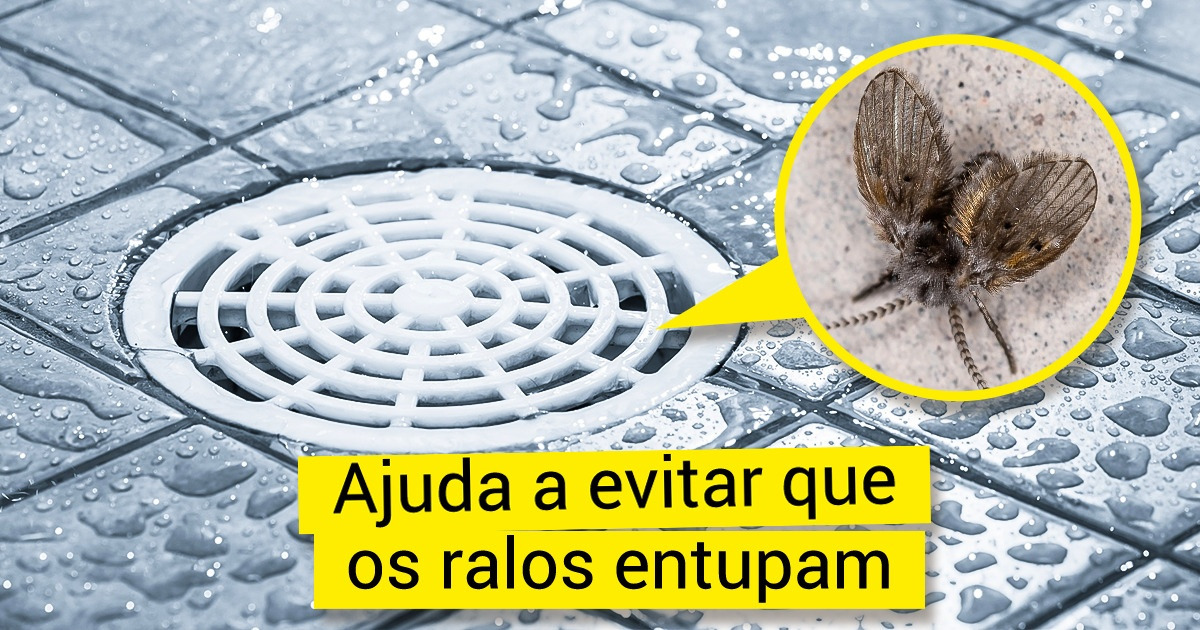 Por que a mosca-de-banheiro não é só uma fiscal do banho e mais 6 bichinhos que muitos desconhecem a utilidade