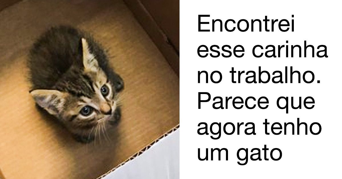 23 Provas de que o universo adora nos preparar pequenas surpresas