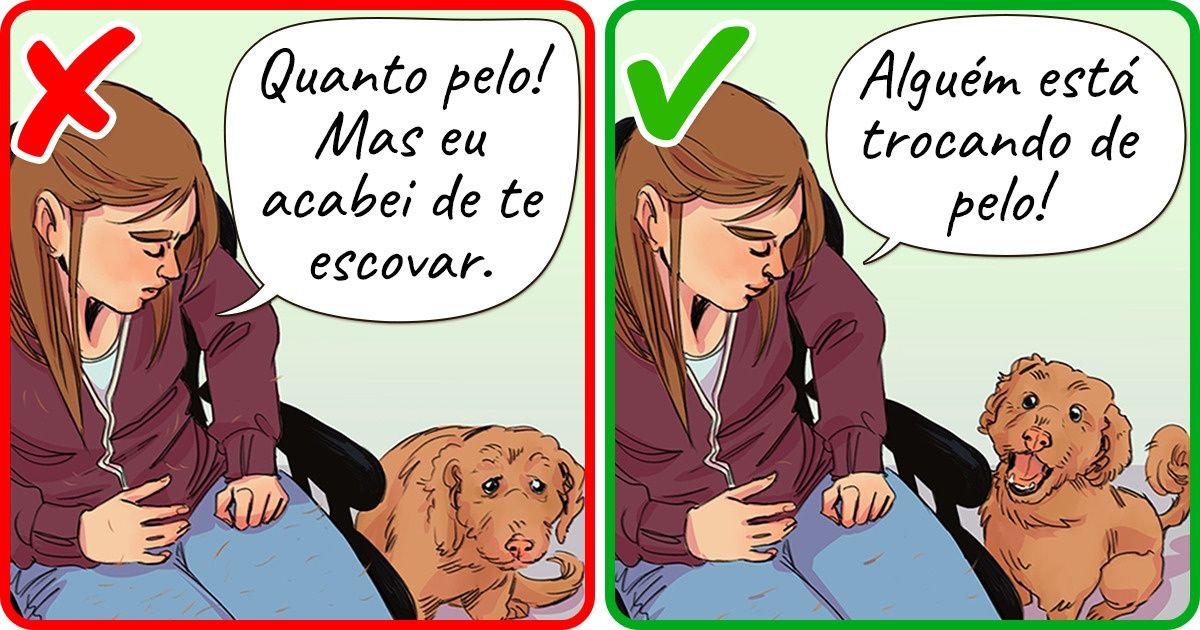 10 Sinais e comportamentos que indicam que o nosso cachorro está estressado