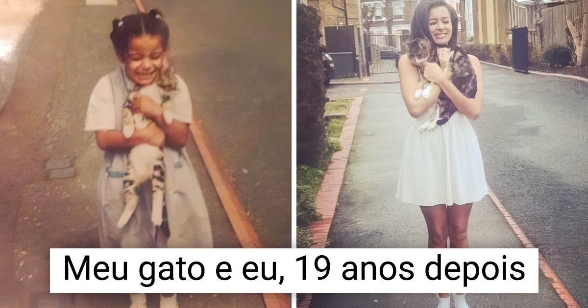 20 Animais de estimação que sabem o que significa ser o melhor amigo de alguém