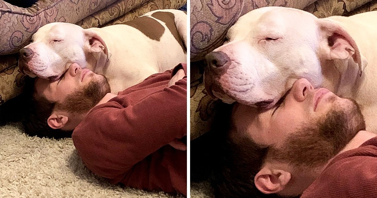 15+ Fotos que provam novamente que os animais são feitos de amor 15+ Fotos que provam novamente que os animais são feitos de amor