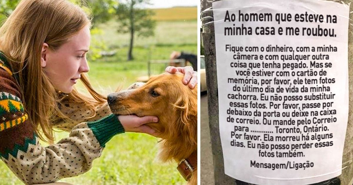 Uma mulher pede ao ladrão que a roubou que devolva as fotos do último dia de vida de sua cachorrinha Uma mulher pede ao ladrão que a roubou que devolva as fotos do último dia de vida de sua cachorrinha