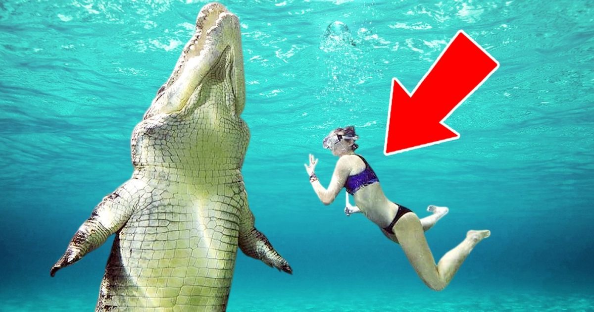 11 piscinas em que nadar é uma aventura única