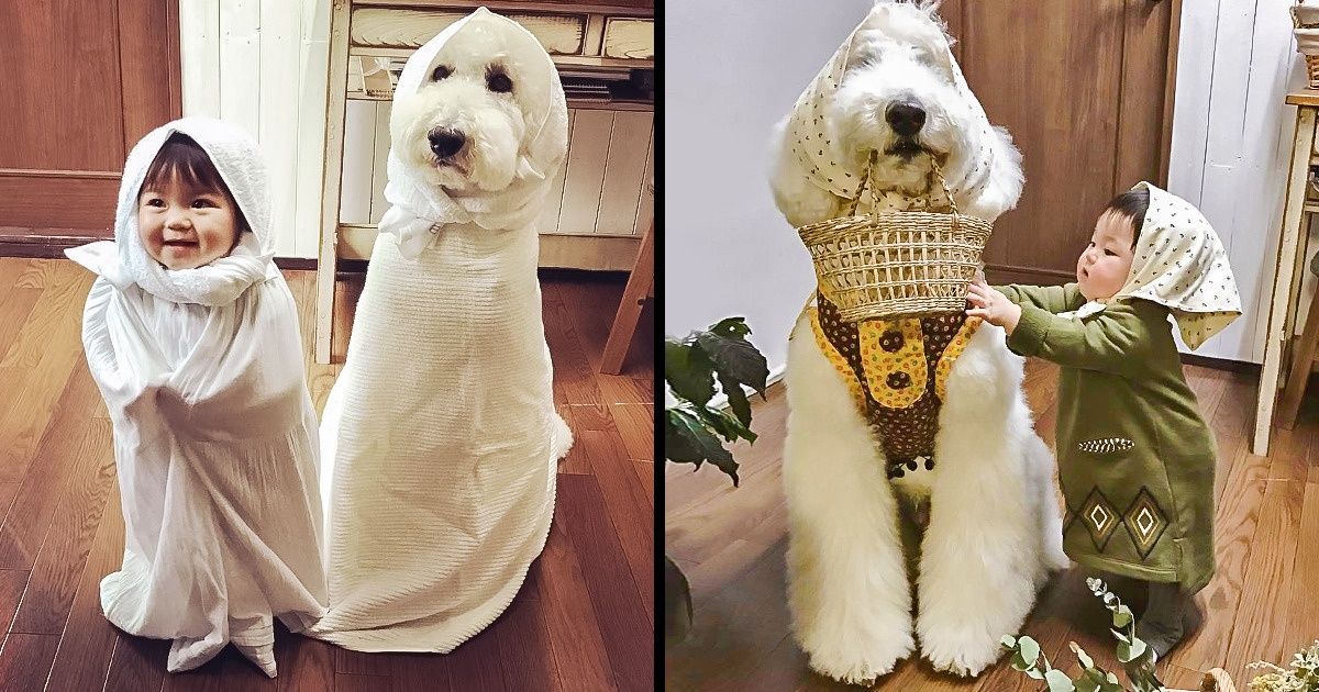 Uma avó japonesa tira fotos da sua neta com o cachorro. O resultado derreterá seu coração