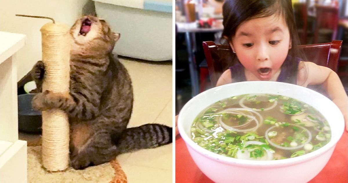 21 Fotos que retratam uma enorme expressividade