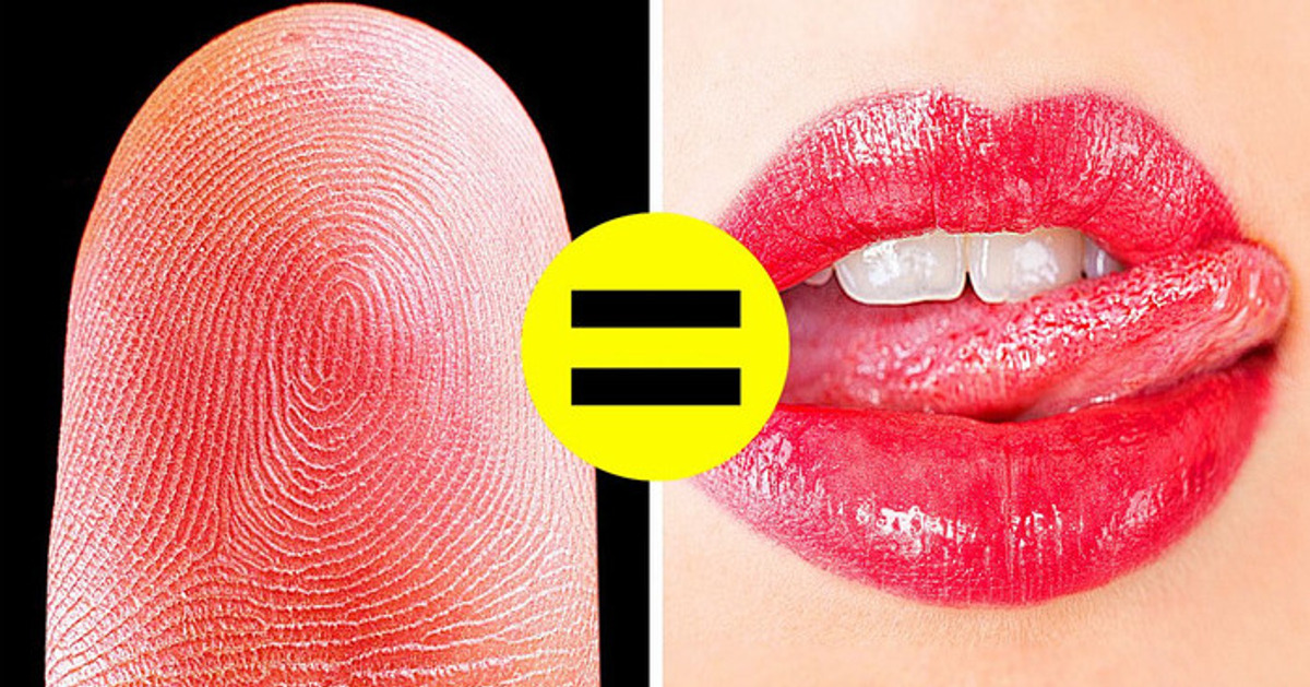 Sua língua revela sua identidade e mais de 50 fatos legais sobre o corpo Sua língua revela sua identidade e mais de 50 fatos legais sobre o corpo