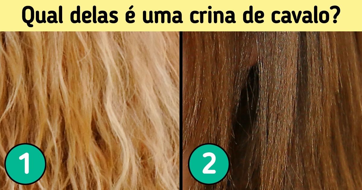 15 Testes rápidos para medir como está a sua intuição 15 Testes rápidos para medir como está a sua intuição