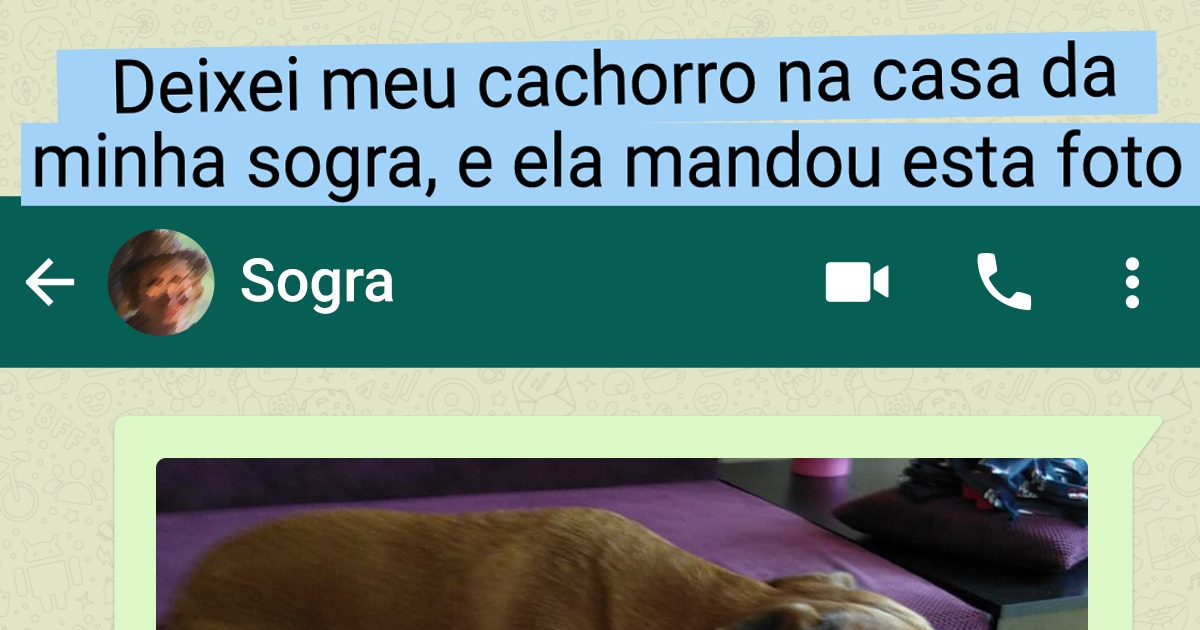 15+ Pessoas que ganharam na loteria familiar e encontraram na sogra uma grande confidente