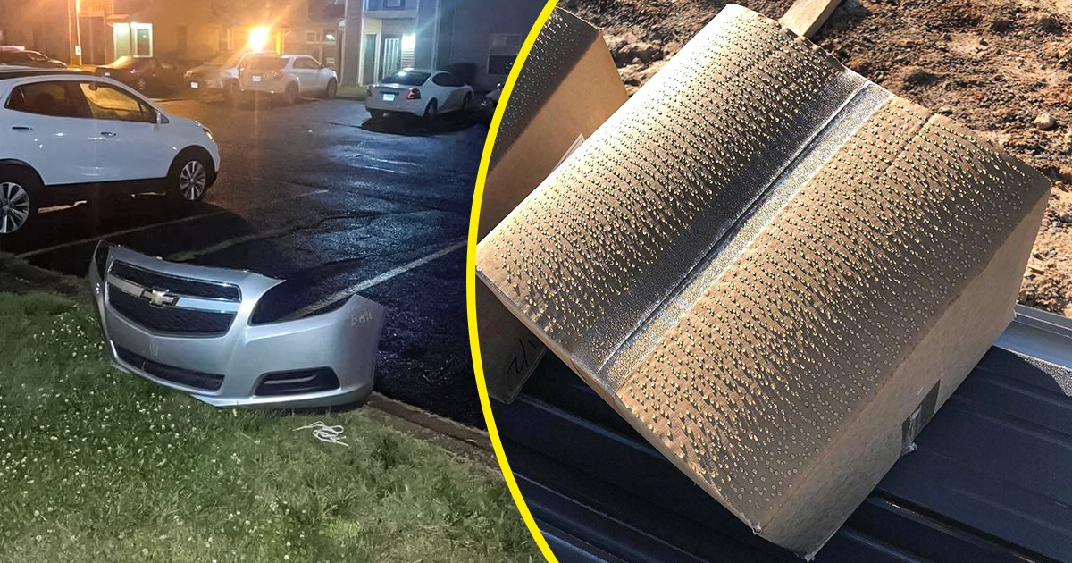 15 Cenas que enganam tão bem que o cérebro demora a entender 15 Cenas que enganam tão bem que o cérebro demora a entender